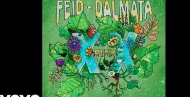 Feid&Dalmata_XXRemix