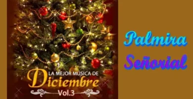 CarlosArturo&OrquestaLaIntegracion_PalmiraSeñorial