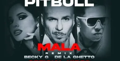 Pitbull&BeckyG&DeLaGhetto_MalaRemix