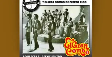 Letra de Un Verano En Nueva York - Andy Montañez & El Gran Combo De Puerto Rico 1 AndyMontañez&ElGranComboDePuertoRico_UnVeranoEnNuevaYork