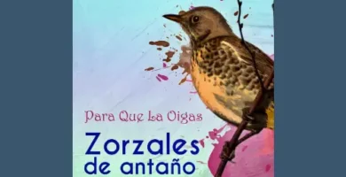 Letra de Cada Vez - Carmen Delia Dipini 4 CarmenDeliaDipini_CadaVez